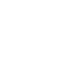 INSA1